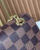 Louis Vuitton Vavin PM N40108