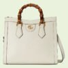4B826608-3C29-DB33-F9E0-AEE5C46B37A8.jpg DIANA SMALL TOTE BAG