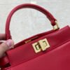 4C2C6309-D187-7930-7685-884CC031366D.jpg Fendi Peekaboo Mini Bag