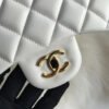 Chanel Lambskin 30Cm Class-Flap Bag A1113