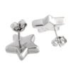4D2D680C-A8AD-284B-3C2E-74E26FF367AB.jpg Trademark Rhodium-Plated Silver Star Stud Earrings