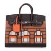 4DC51199-90FC-6FD3-28CD-433A91852CED.jpg Birkin 20 Sellier Limited Edition Faubourg Bag with Palladium Hardware