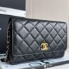 Chanel WOC fortune bag