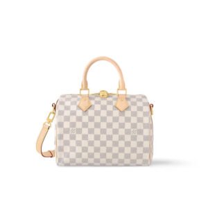 Louis Vuitton Speedy Bandouli&egrave;re 25 N40608