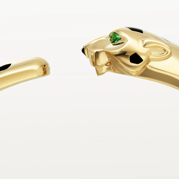 509D7ABE-DD08-912A-7394-DE6C89CBABE4.png PANTHERE DE BRACELET