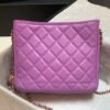 Chanel Hobo Handbag Purple Bag For Women 16cm/6in