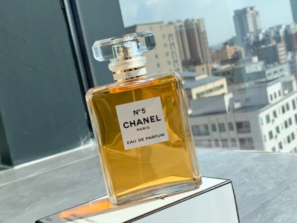 537B03E2-27DC-3A12-B670-A175B0DB55A9.jpg GABRIELLE CHANEL CLASSICS