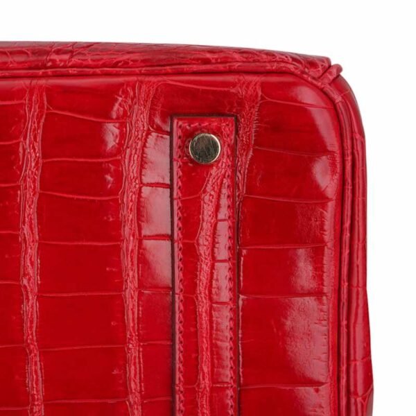 53A8606B-4897-336D-69A2-4D1C93A62D6A.jpg Birkin 35 Bag Braise Porosus Crocodile with Gold Hardware