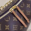 53B4D695-D307-381A-2864-55780C2A7678.jpg Louis Vuitton Loop Hobo M46311
