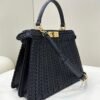 53EC190B-7122-1EDC-1A89-AB46F3B54FDD.jpg Fendi Peekaboo Small iseeu Bag