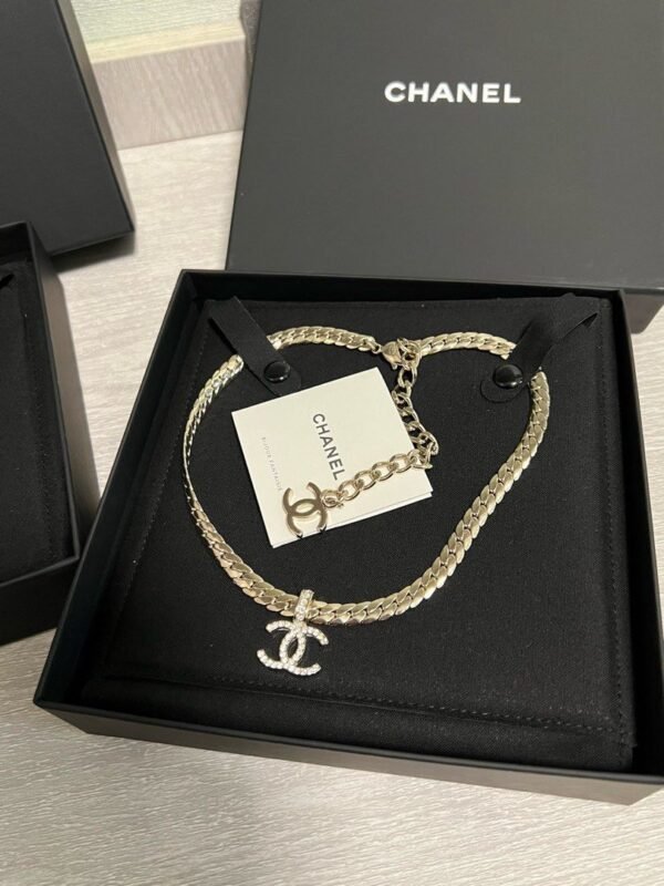54561D60-FCD3-1AA1-8CBF-75C09FDD1234.jpg Necklace Choker