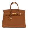 Birkin 25 Taurillon Clemence Gold Hardware