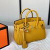 56CC4813-6FF8-1D21-FD1B-3F6171F5C515.jpg Birkin 20 Bag - Brown