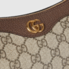 570CB361-CB09-8372-B53C-3109CFE65E62.png Ophidia small handbag