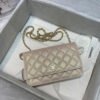 573DC114-0B01-3600-1B8C-A85F5CE43FE1.jpg CHANEL Wallet On Chain
