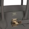 5771E6AB-1834-4DC8-5492-3C6F717BB2D7.jpg Birkin 25 Handbag Grey Togo with Gold Hardware
