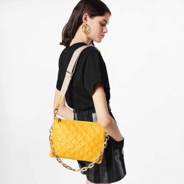 58BBA55C-1C8D-F494-7F4A-DF123C30247C.jpg Louis Vuitton M20378 Coussin PM