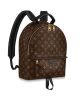 Louis Vuitton Palm Springs MM M44874
