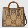 5A1B08A3-793A-EFB2-DCB8-3AFAA5A1818C.jpg DIANA JUMBO SMALL TOTE BAG