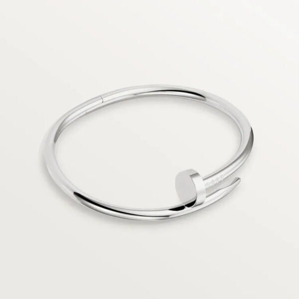 5BF09624-65AE-3A56-D0D5-FBEA1A382E2B.jpg JUSTE UN CLOU BRACELET