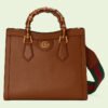 DIANA SMALL TOTE BAG