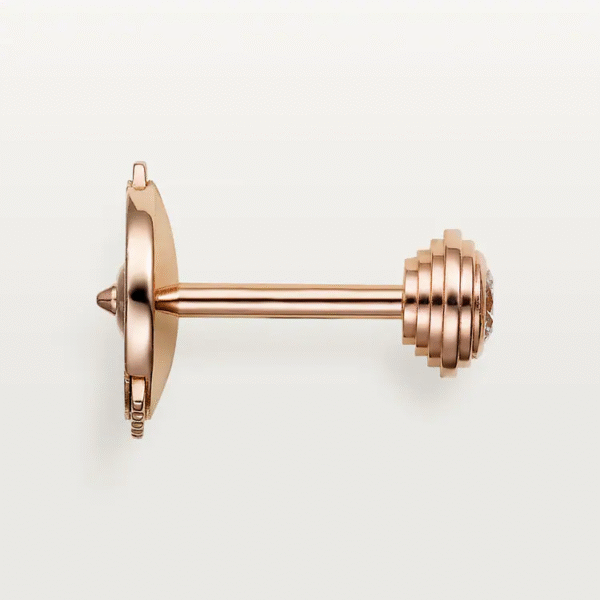 5D87B8A6-9D1A-FF95-BA5E-F3AAEA67695E.png D'AMOUR EARRINGS