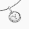 5DCF6656-56E8-C6E7-8CE0-D4135C745871.jpg Initial Charm Necklace Sterling Silver with Diamond Y