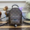 Louis Vuitton Palm Springs Mini M44873