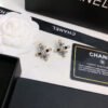 5E9B7F6B-0412-CA4C-E4E5-70F21FD6F9FD.jpg cc Earrings