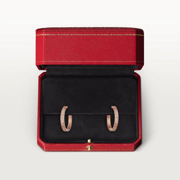 5EA40B3D-02AF-98AA-1FB0-E026EBC0F2A4.jpg LOVE EARRINGS