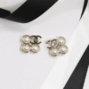 5FFB0C1B-6E07-2218-8C90-2BF0753997AD.png CCE635 cc Earring For Women