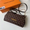 Louis Vuitton Favorite MM N41129