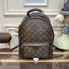 Louis Vuitton Palm Springs MM M44874