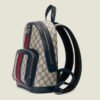 63B2C626-2460-6813-D5EB-B775657E60E5.jpg OPHIDIA SMALL BACKPACK