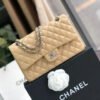 Chanel Classic Handbag Silver Hardware BeigeFor Women, Women&rsquo;s Bags, Shoulder And Crossbody Bags 10.2in/26cm A01112