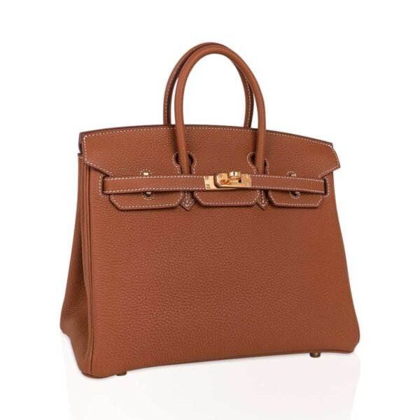 650E2BB4-B1FB-56A8-A63F-FD41E273E2BF.jpg Birkin 25 Bag Gold Togo Leather Gold Hardware
