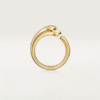 68ACE705-6AE8-A808-7E6C-AFB91DE6F5F9.png PANTHERE DE RING