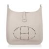 6B5DF4F8-3FA1-3152-90D7-7D037BFE2245.jpg Evelyne PM Bag Beton Palladium Hardware Clemence Leather bag
