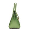 Birkin 25 Vert Criquet Epsom with Palladium Hardware