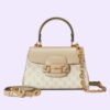 6E24A213-70EE-8001-1CAF-896F544E7BF5.jpg HORSEBIT 1955 MINI BAG
