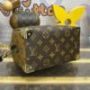 Louis Vuitton Speedy Trunk 20 M13146