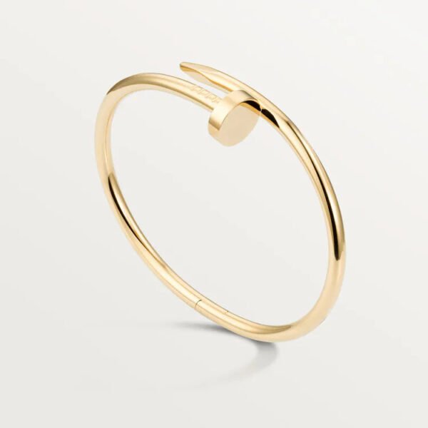 6F3D7FFD-E32A-C921-1273-5468E7A645DA.jpg JUSTE UN CLOU BRACELET