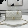 Chanel AS3653 22K Bag White For Women, Women&rsquo;s Bags 9.8in/25cm