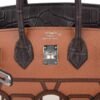 7272FA59-8723-FDB3-BDAD-5E259D412D20.jpg Birkin 20 Sellier Limited Edition Faubourg Bag with Palladium Hardware