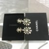 cc Earrings
