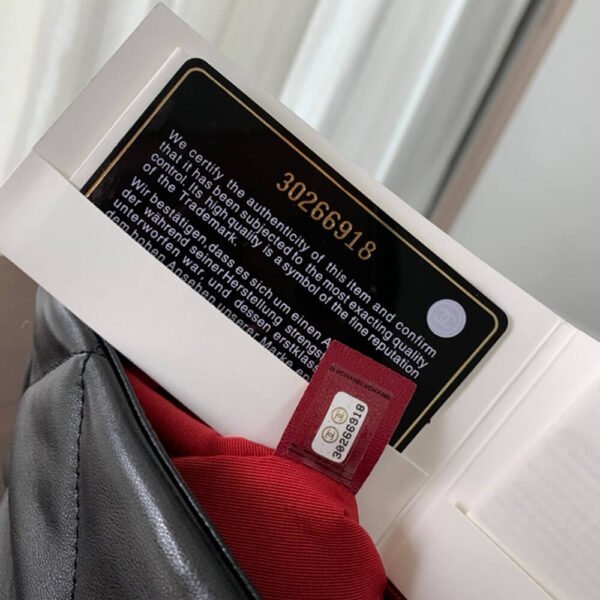 755361B0-70A4-3F9F-617B-1A27278F848B.jpg CHANEL 19 Large Handbag AS1161