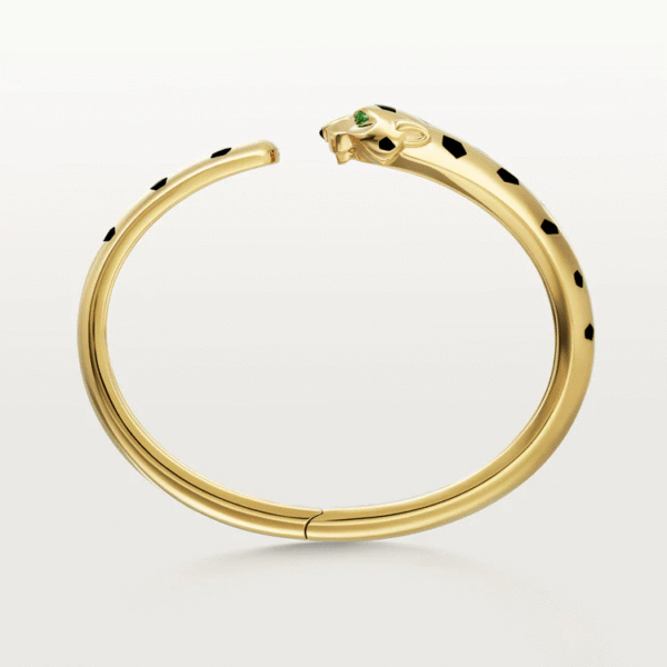 75544C43-6409-718C-03FE-7C44A79FB6C9.png PANTHERE DE BRACELET