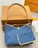 Louis Vuitton CarryAll MM M46855