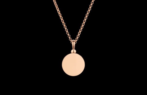 79F40CF8-1204-21DA-54B6-FA57C4917B29.jpg NECKLACE