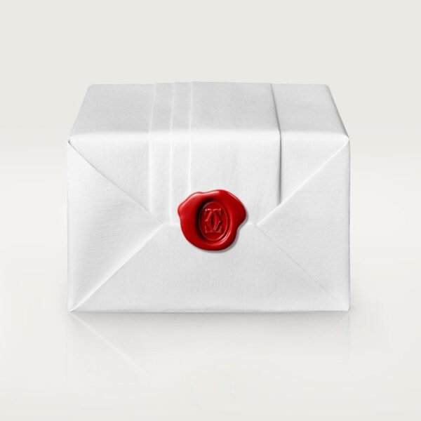 7A39EEE1-E45E-99DF-74C0-7C5D9EB5FA8B.jpg LOVE NECKLACE